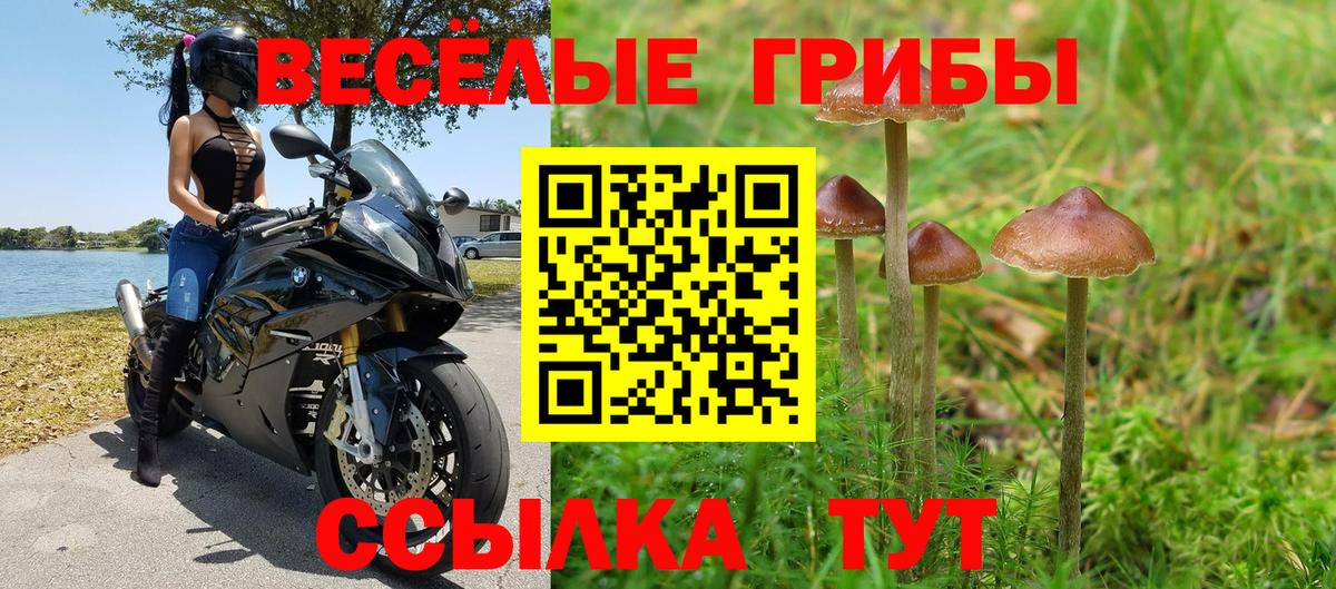 Галлюциногенные грибы мухоморы Сорочинск
