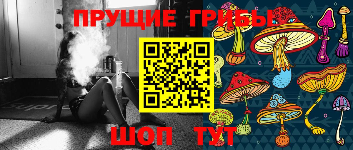 Псилоцибиновые грибы Psilocybe  Вход с VPN  Сорочинск  Галлюциногенные грибы MAGIC MUSHROOMS 